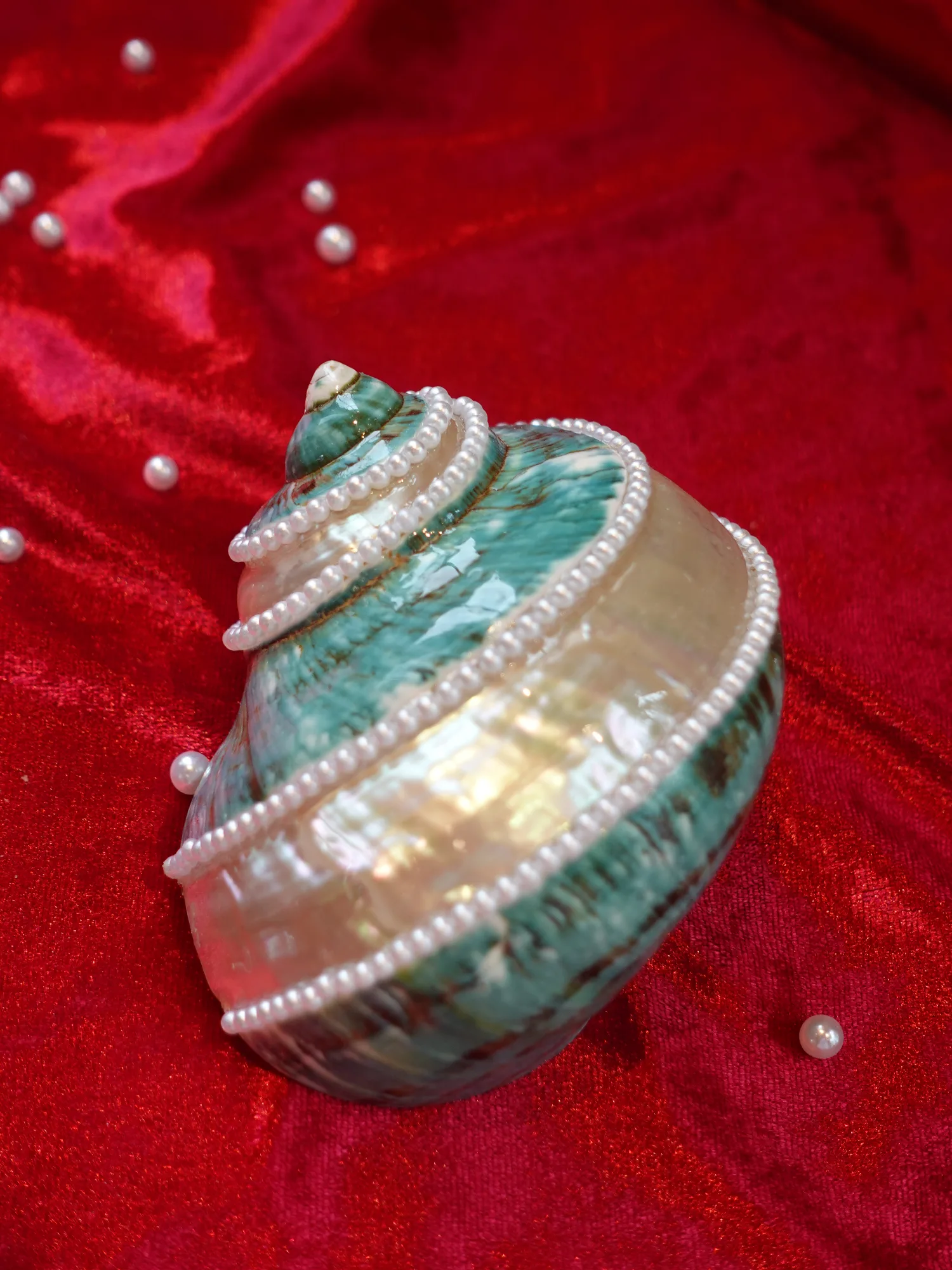 Vỏ ốc trang trí